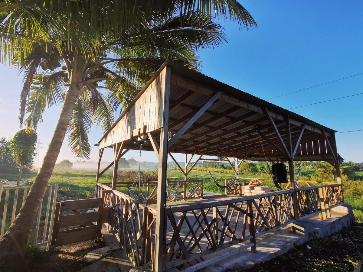 Ride In Youth And Surf Center Morne-a-l'Eau Exterior foto